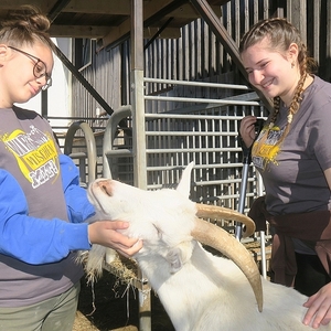 In Frankenburg packten die Jugendlichen im Tierheim und Gnadenhof „Tierseelenhoffnung“ mit an                  