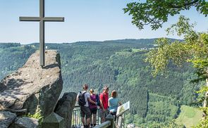 Donausteig, Ausbilck Penzenstein