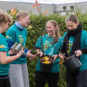 428 - Friedhof im neuen Glanz
