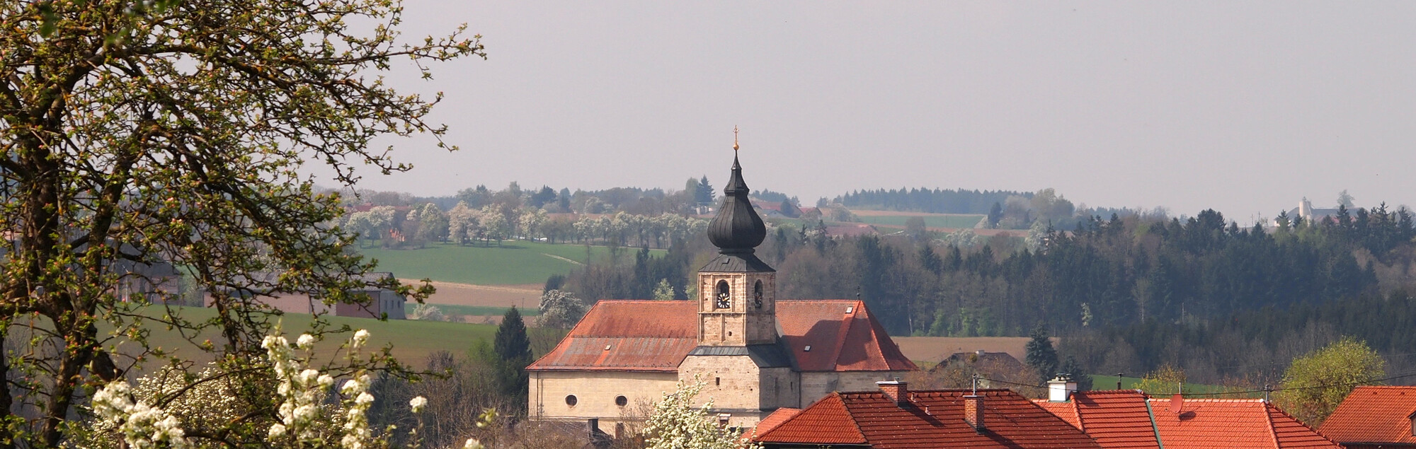 Blick auf die Wallfahrtskirche Adlwang