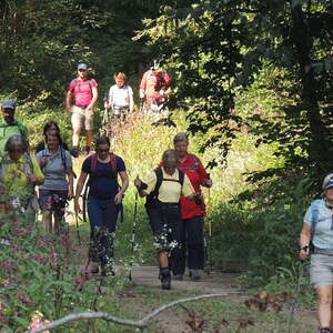 Ökum. Pilgerwanderung / Dekanat Eferding Ökum. Pilgerwanderung