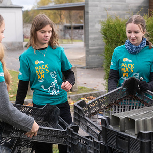 428 - Friedhof im neuen Glanz