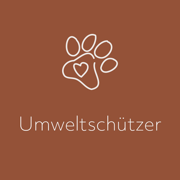 Heiliger Franziskus von Assisi