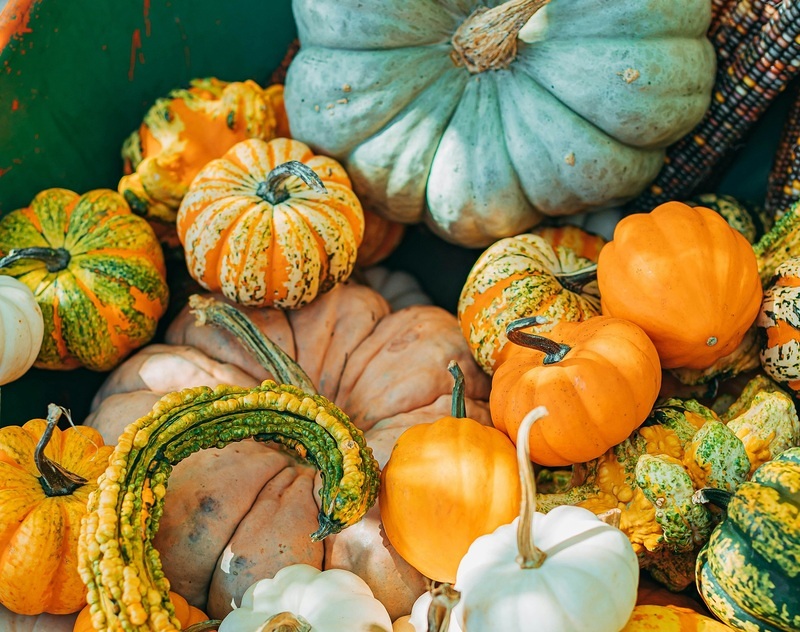 voll.bunt Oktober