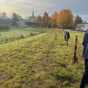 429 - Green Action: 72h Biodiversität