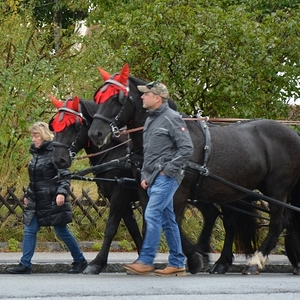 Erntedankfest