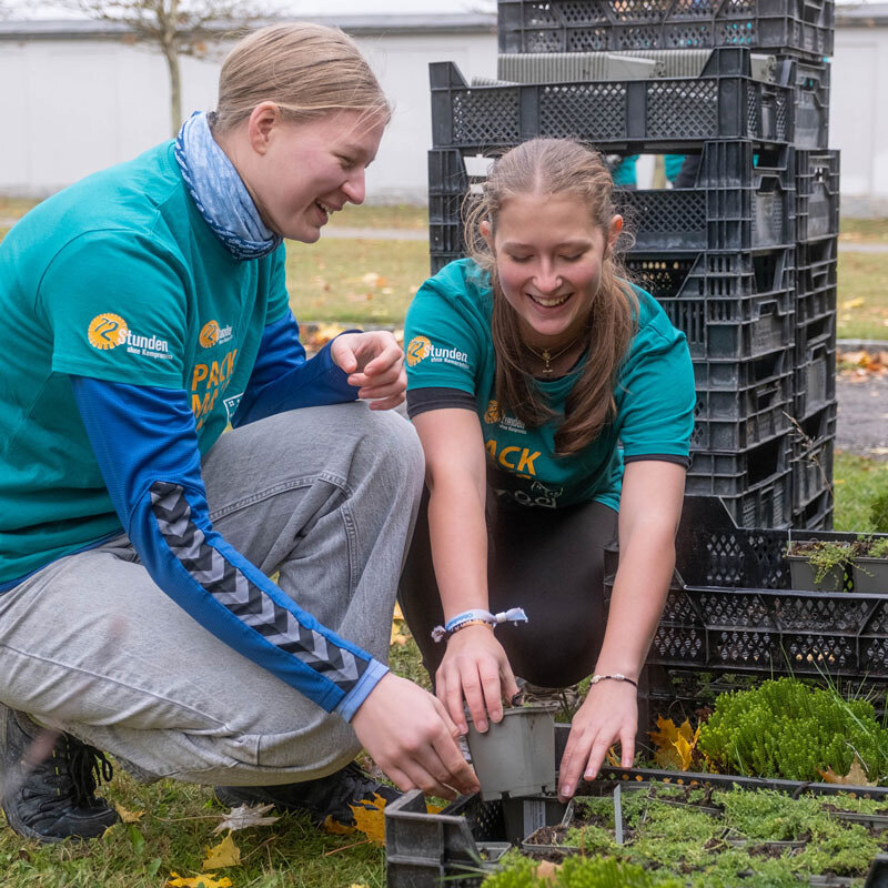 428 - Friedhof im neuen Glanz