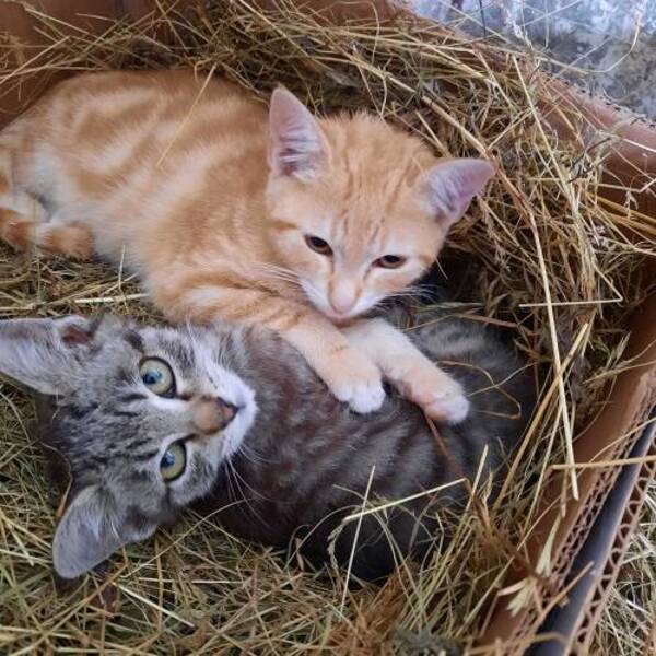 Edmund und Sophie