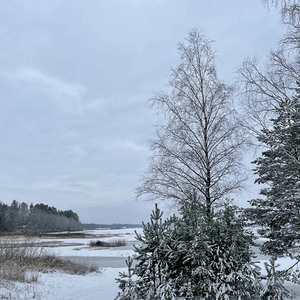 Eiseskälte in Estland.