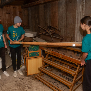 426 - Pflanz mir einen Baum