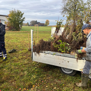 429 - Green Action: 72h Biodiversität