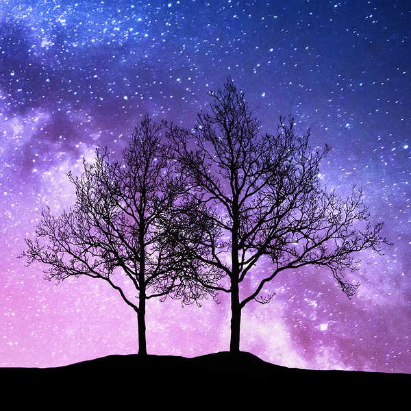 Starry sky with pink Milky Way. Night landscape with alone trees on the hill against colorful milky way. Amazing galaxy. Nature background with beautiful universe. Astrophotography