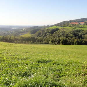Mostheuriger Deissenbach 2014