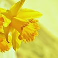 Ostern