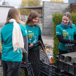 428 - Friedhof im neuen Glanz