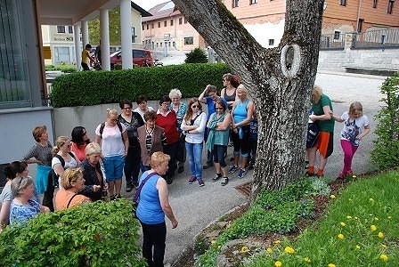 Kräuterwanderung