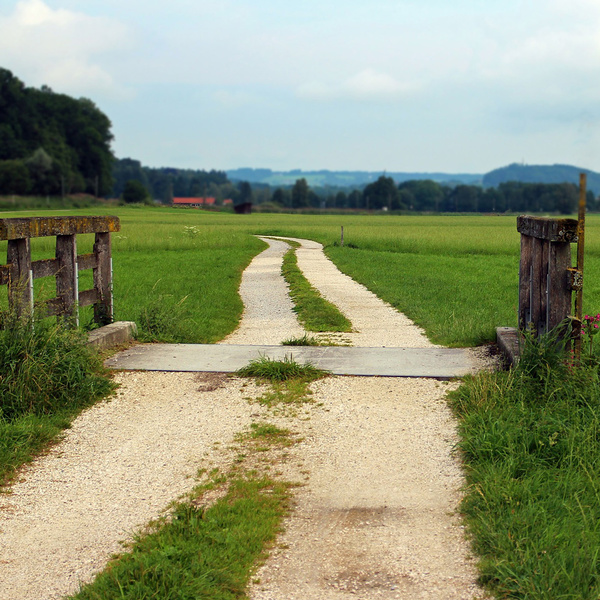 Gemeinsam unterwegs / © Antranias/pixabay.com/Pixabay License Gemeinsam unterwegs