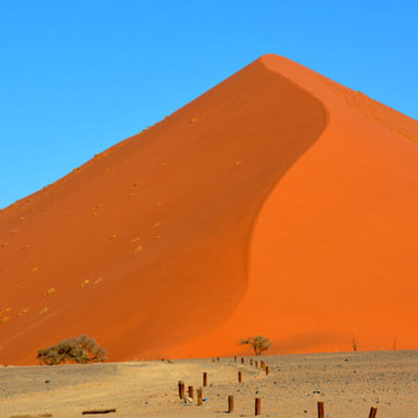 Sanddüne in der Wüste Namib