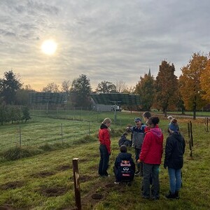 429 - Green Action: 72h Biodiversität