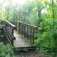 Brücke im Wald. © Grafixar/morguefile.com / Brücke im Wald. © Grafixar/morguefile.com Brücke im Wald. © Grafixar/morguefile.com