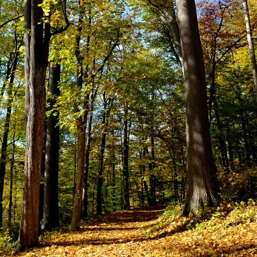 Herbstwanderung
