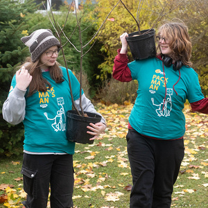 428 - Friedhof im neuen Glanz