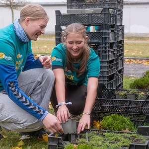 428 - Friedhof im neuen Glanz