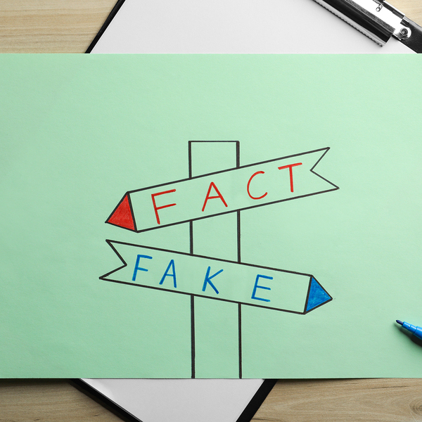 Drawn signpost with words FACT and FAKE on paper sheet at wooden table, flat lay