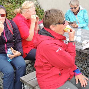 Ökum. Pilgerwanderung / Dekanat Eferding Ökum. Pilgerwanderung