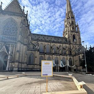 Fastenaktion am Dom 2026