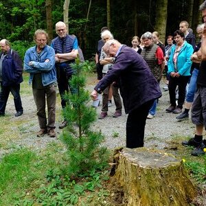 Waldbegehung