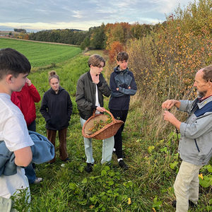 429 - Green Action: 72h Biodiversität