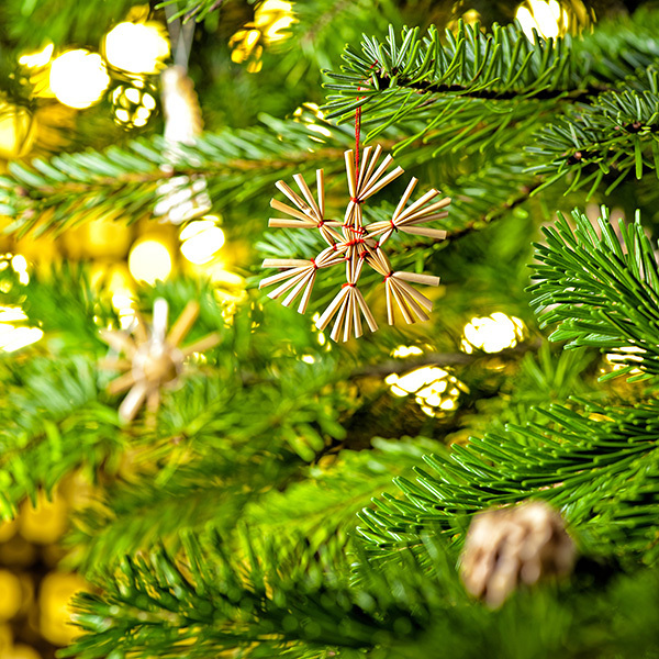 Advent / Weihnachten