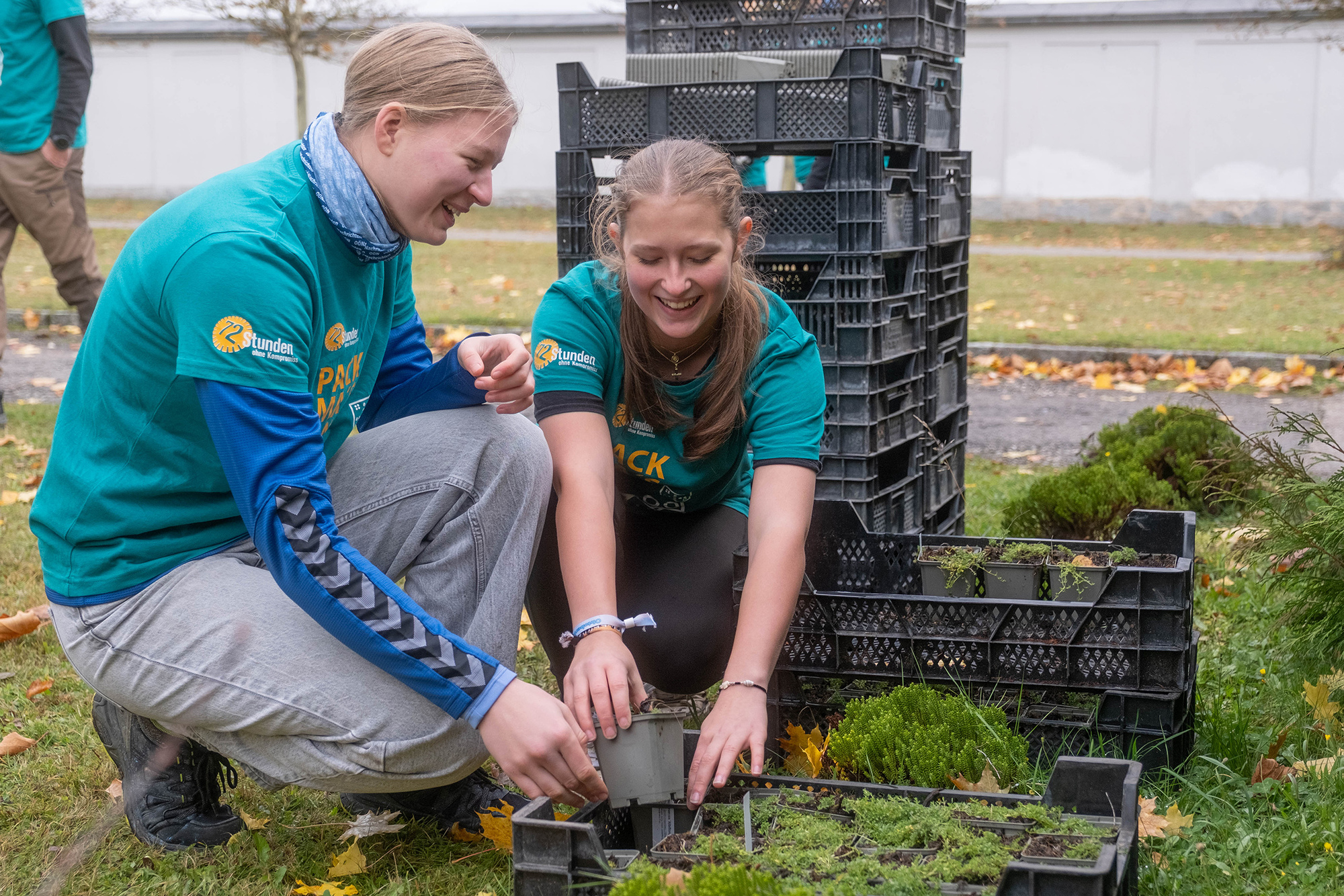 428 - Friedhof im neuen Glanz