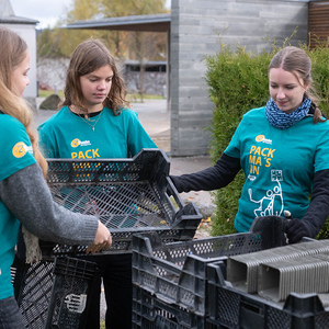 428 - Friedhof im neuen Glanz