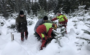 Christbaum